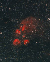 NGC 6334 (Cat's Paw) and NGC 6357