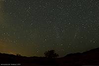 Camelopardalids all-night composite