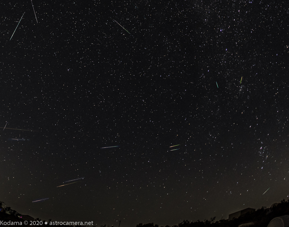 Perseid Meteor Shower