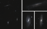 Leo Trio Galaxies